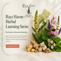 Rayz Haven Herbal Learning Series does a Deep Dive into Health Conditions & top herbs.