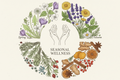 Herbal Classes