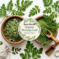 Organic Moringa Leaf (Moringa oleifera)